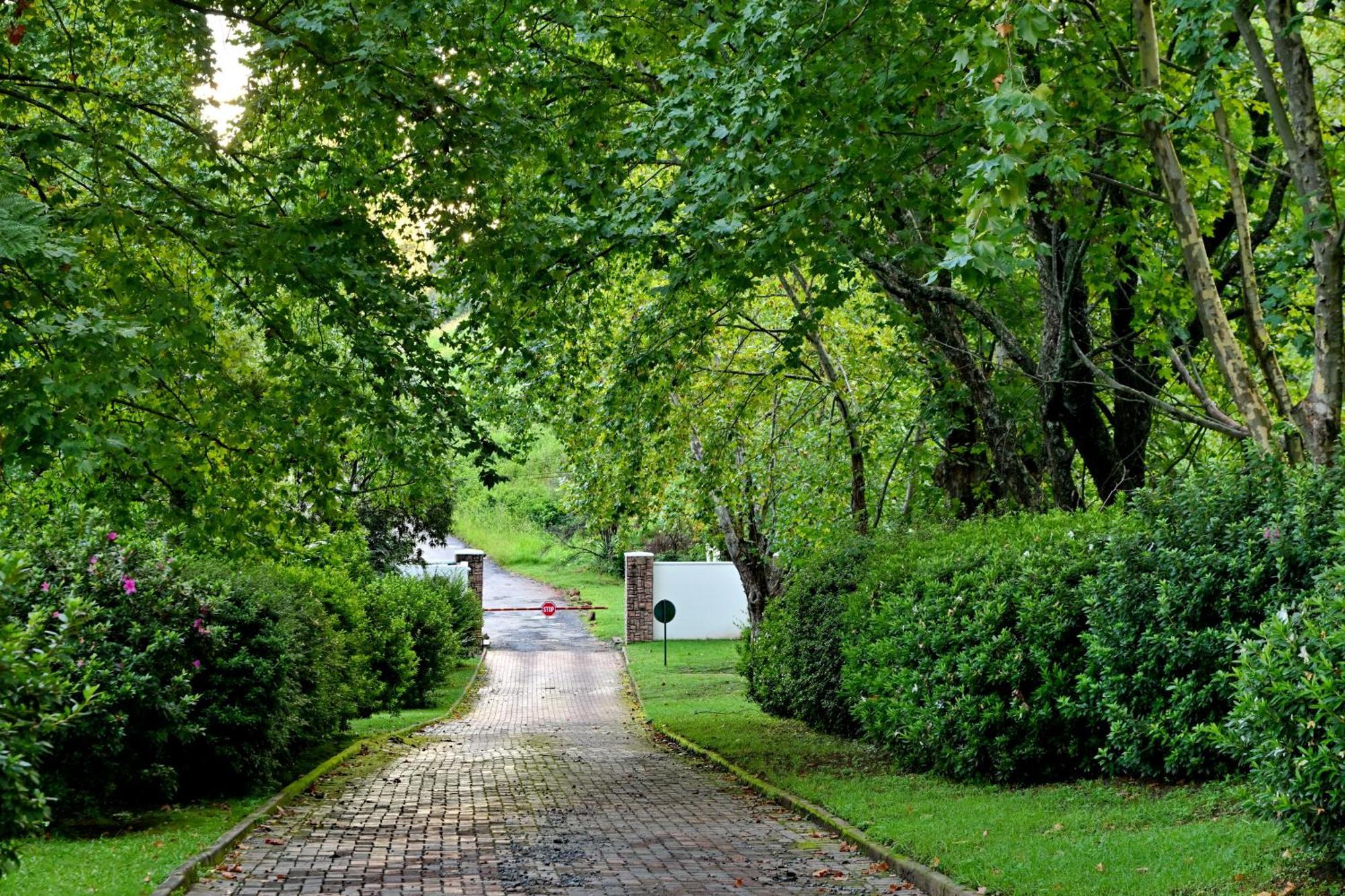 Champagne Castle Hotel Champagne Valley Zewnętrze zdjęcie